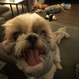 Meet your Posher, Melissa